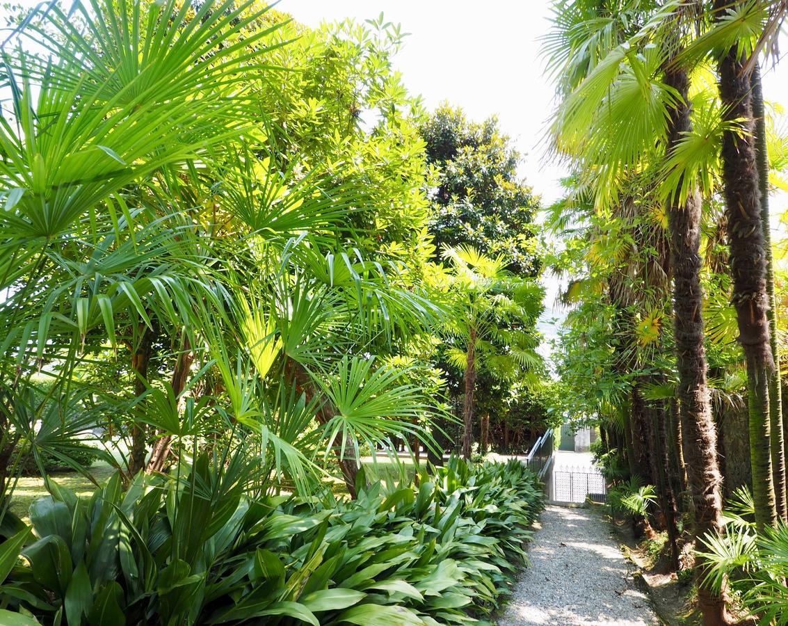 Casa Mondadori Bed and Breakfast Meina Εξωτερικό φωτογραφία